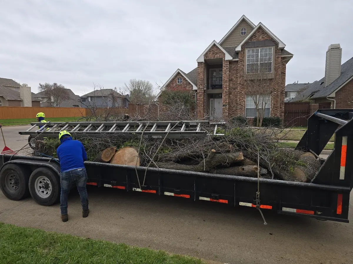 Expert Lot Clearing with proper safety equipment in Beaverdam